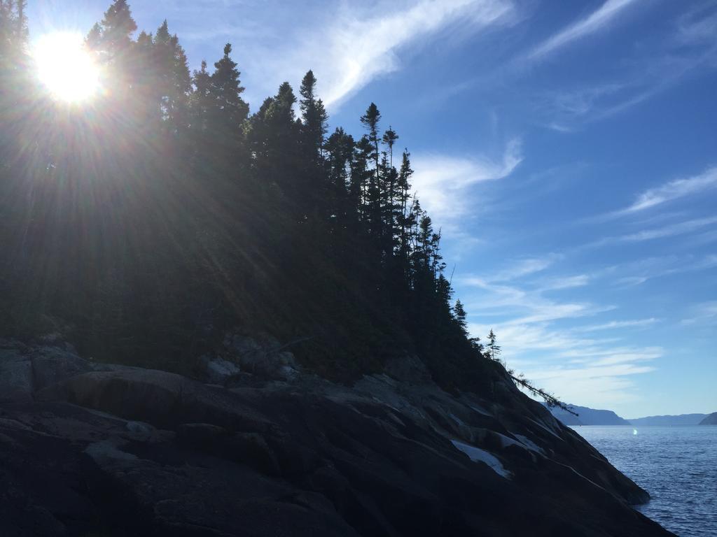 Residence Touristique Les Bouleaux Petit-Saguenay Eksteriør billede